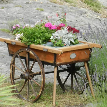 La Lavande